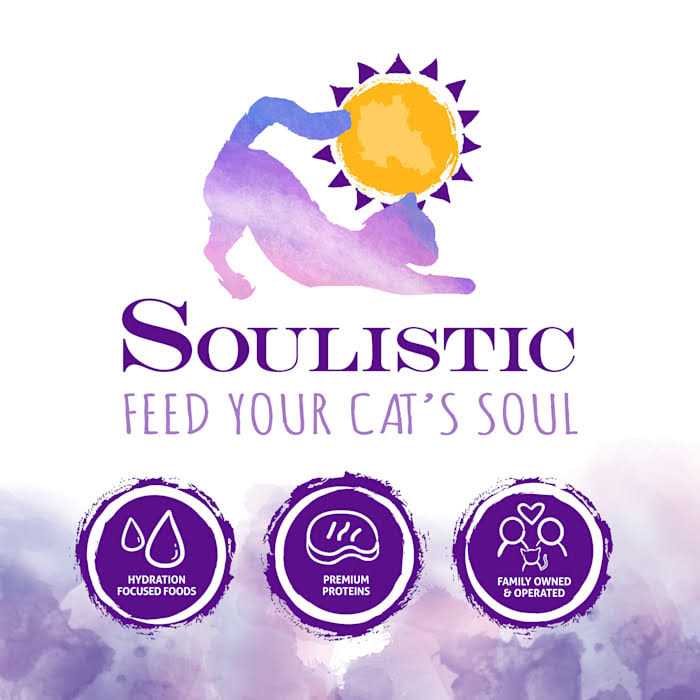 Wet Cat Food J237144