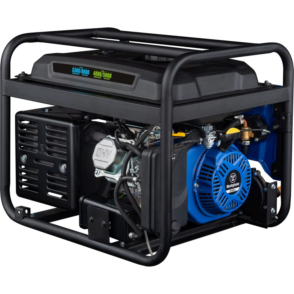 Dual Fuel Portable Generator with Remote Electric Start R13520