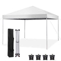 10' x 10' White Pop up Canopy Tent A876110