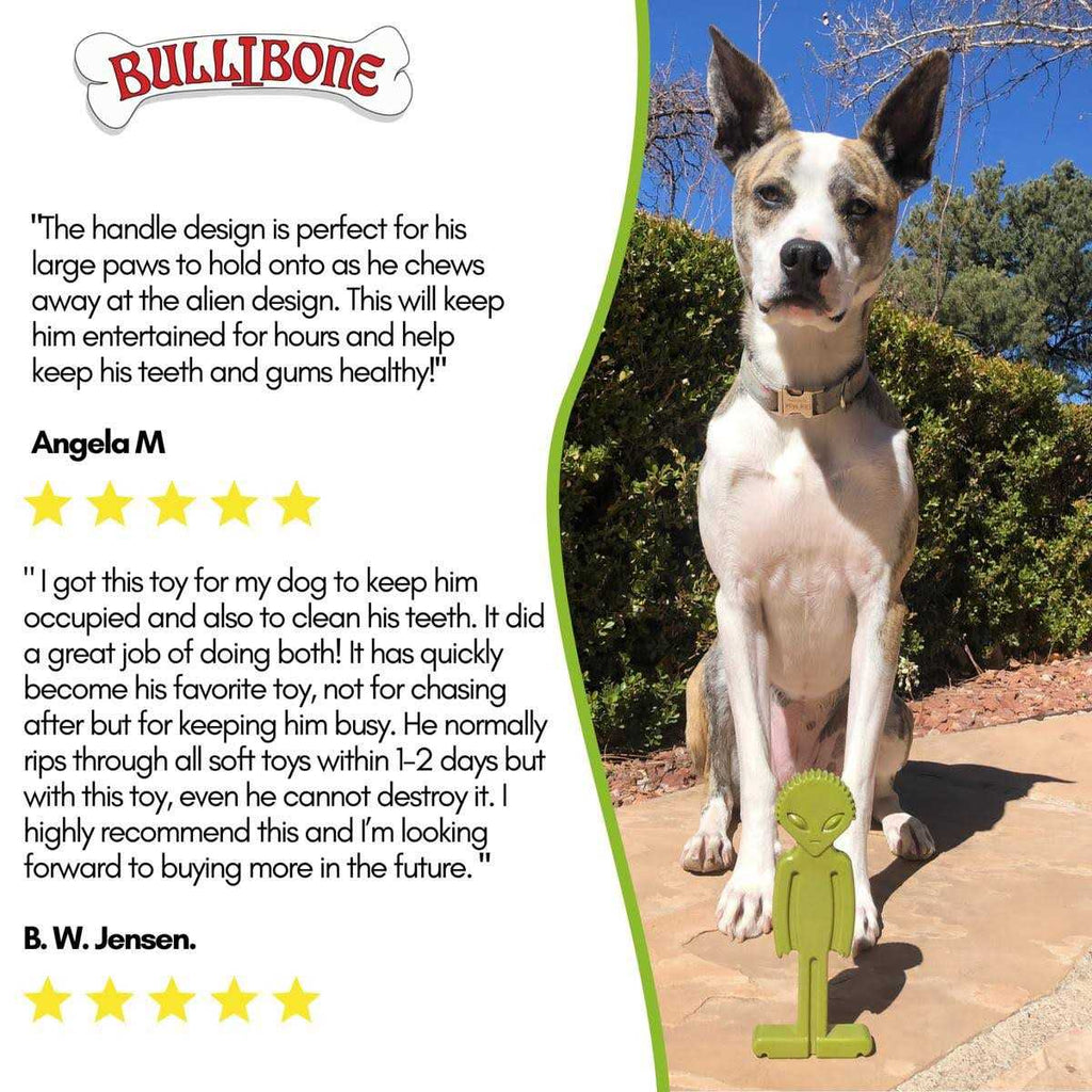 Small Dog Chew Toy with Easy Hold Grips O436906