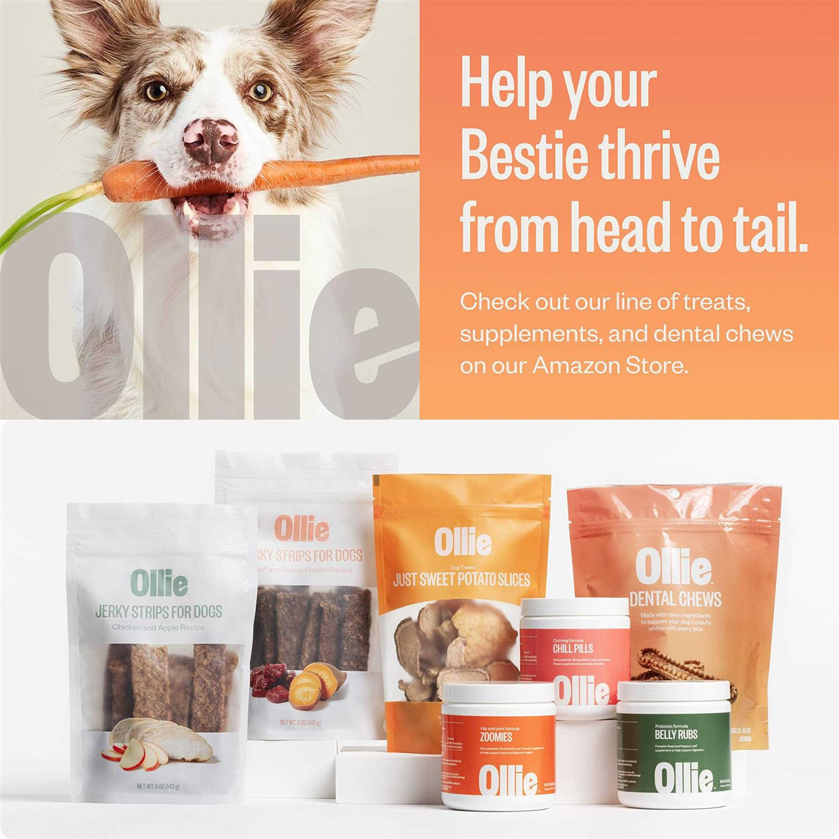 Dental Chews For Dogs H832173