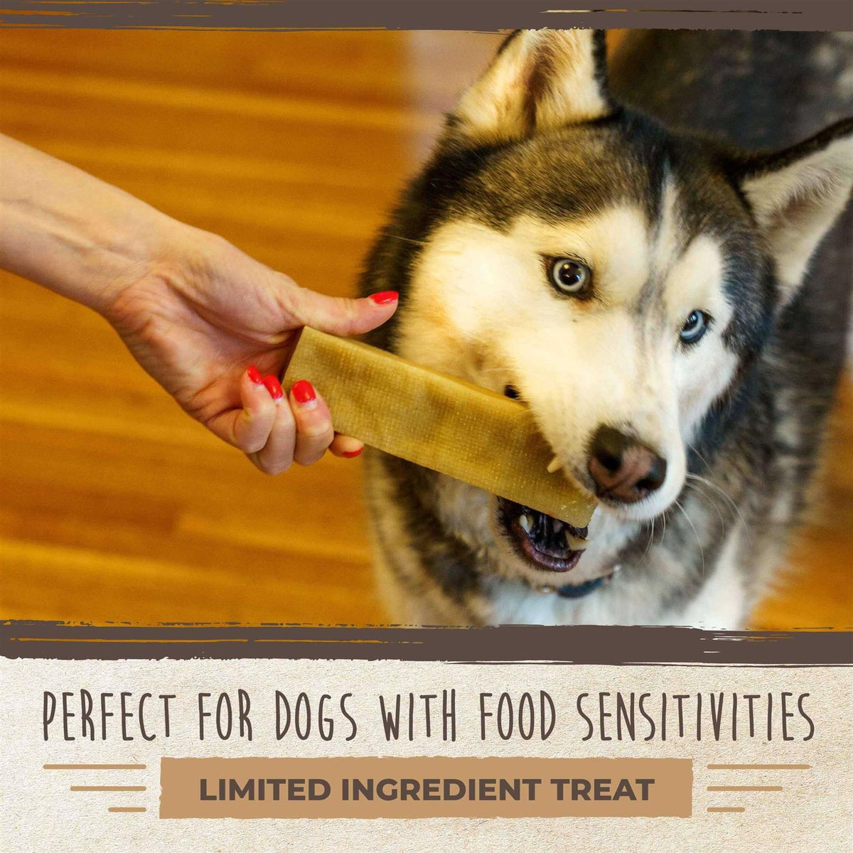 Yak Cheese Chews for Dogs X40497