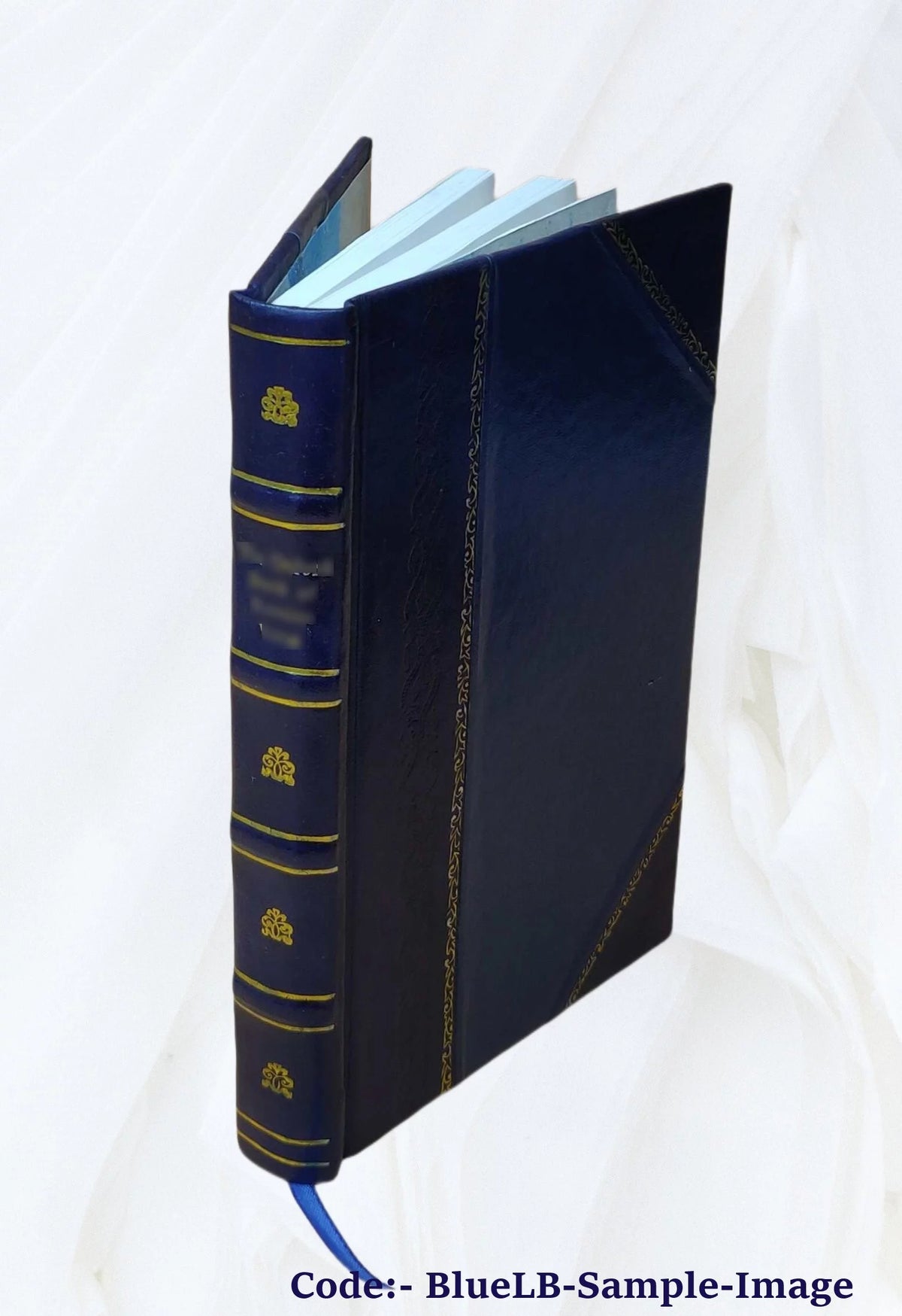 Leather Bound Book E96975