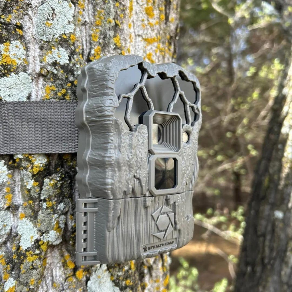 24MP Trail Camera - 2 Pack W3338