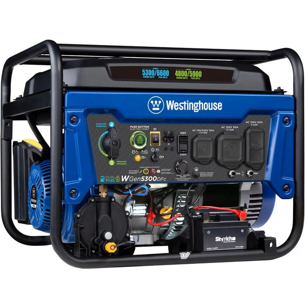 Dual Fuel Portable Generator with Remote Electric Start R13520
