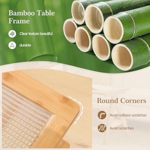 2-Tier Rattan Glass Coffee Table with Storage Shelf L547