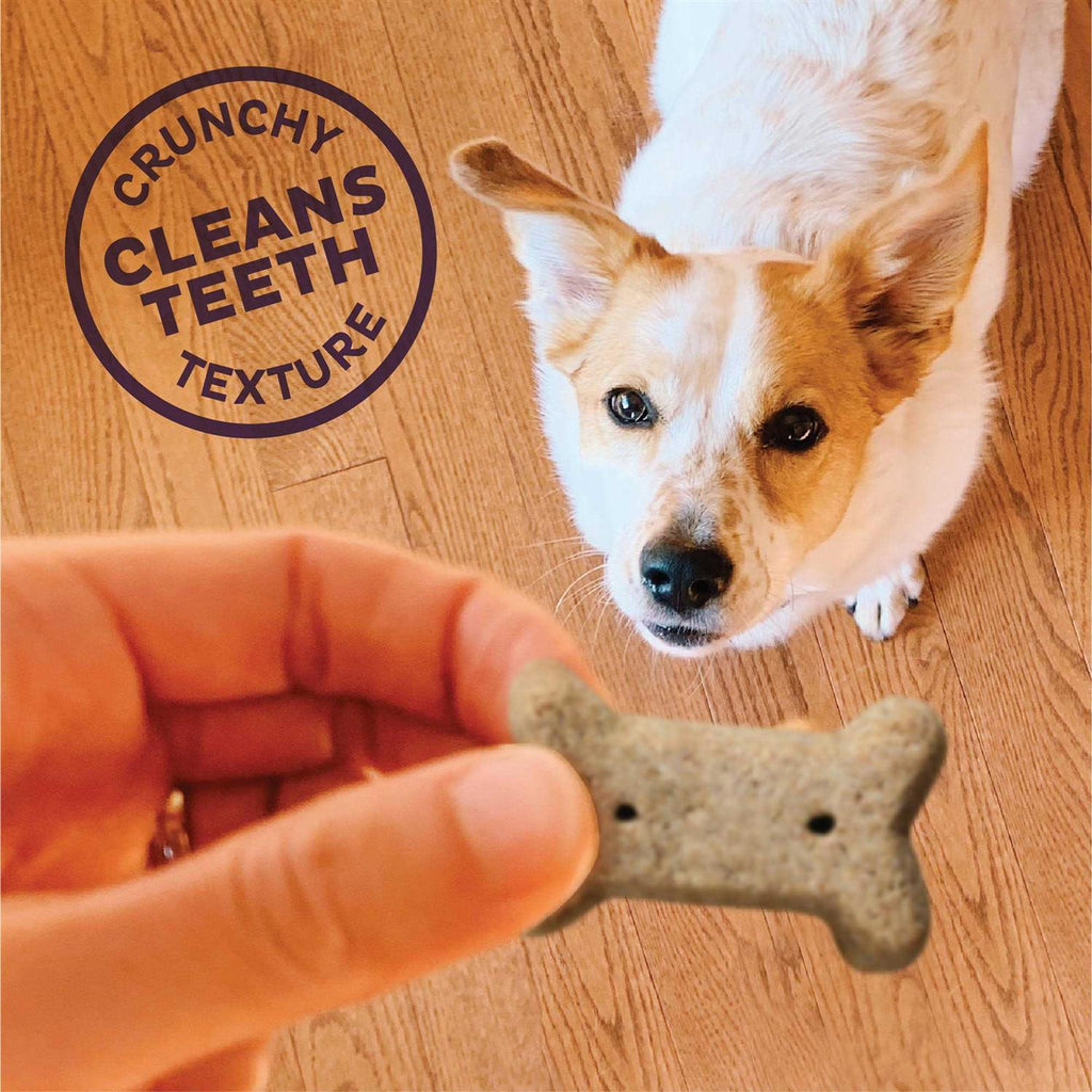Dog Biscuits E8988