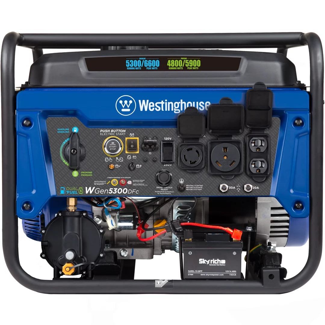 Dual Fuel Portable Generator with Remote Electric Start R13520