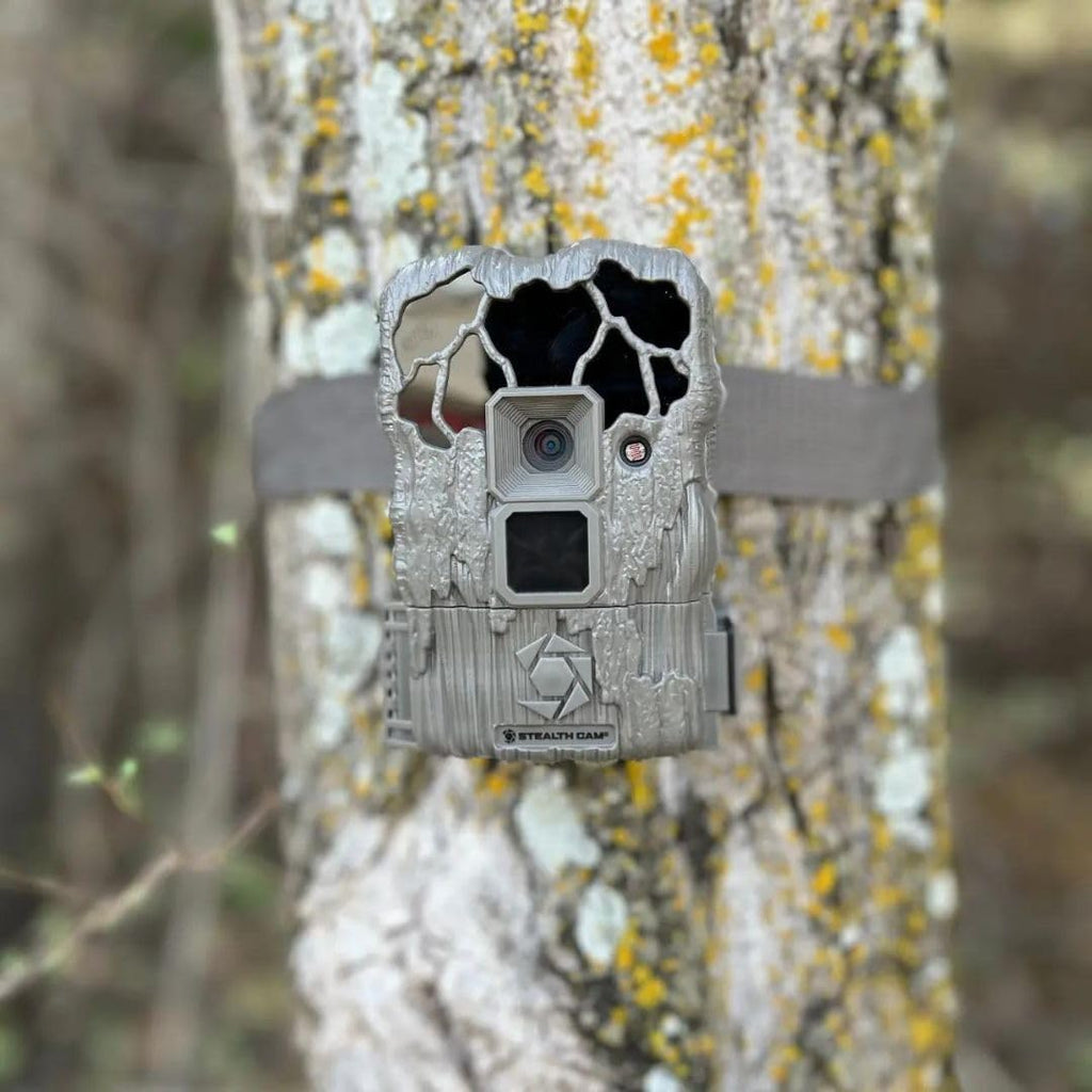 24MP Trail Camera - 2 Pack W3338
