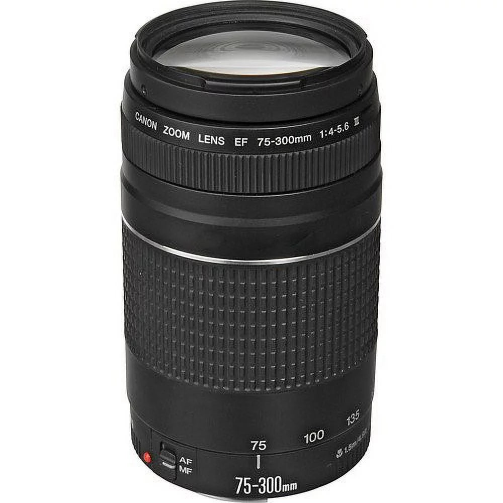 Digital SLR Camera Bundle with 24-105mm, 75-300mm, 50mm Lenses O9621