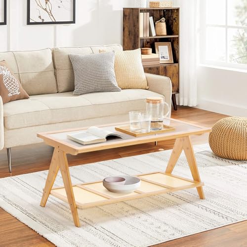 2-Tier Rattan Glass Coffee Table with Storage Shelf L547