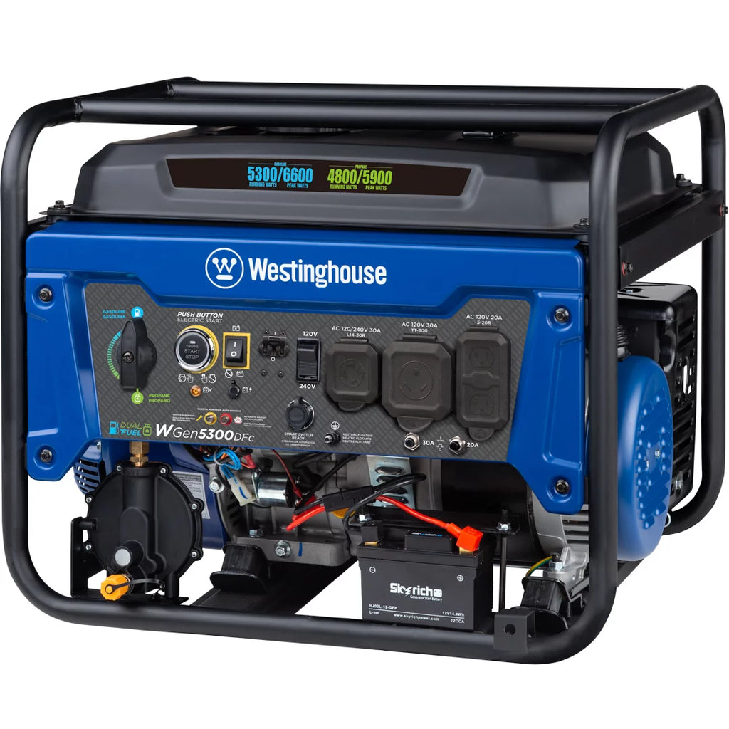 Dual Fuel Portable Generator with Remote Electric Start R13520