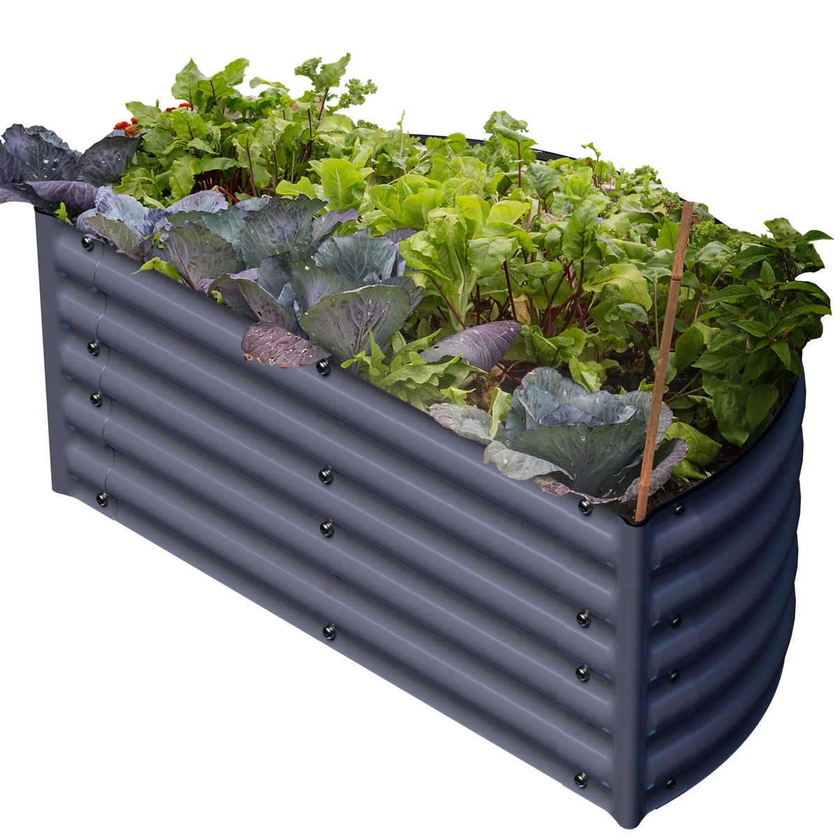 17" Tall Semi-round Raised Garden Bed in Midnight Gray V553097