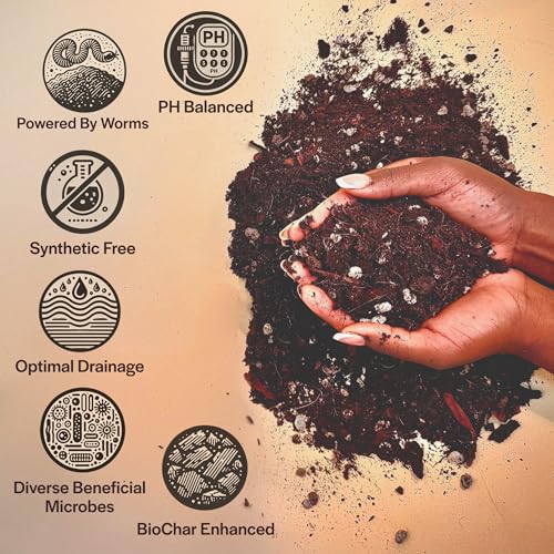 Chunky Well Draining Potting Mix 8QT U23994