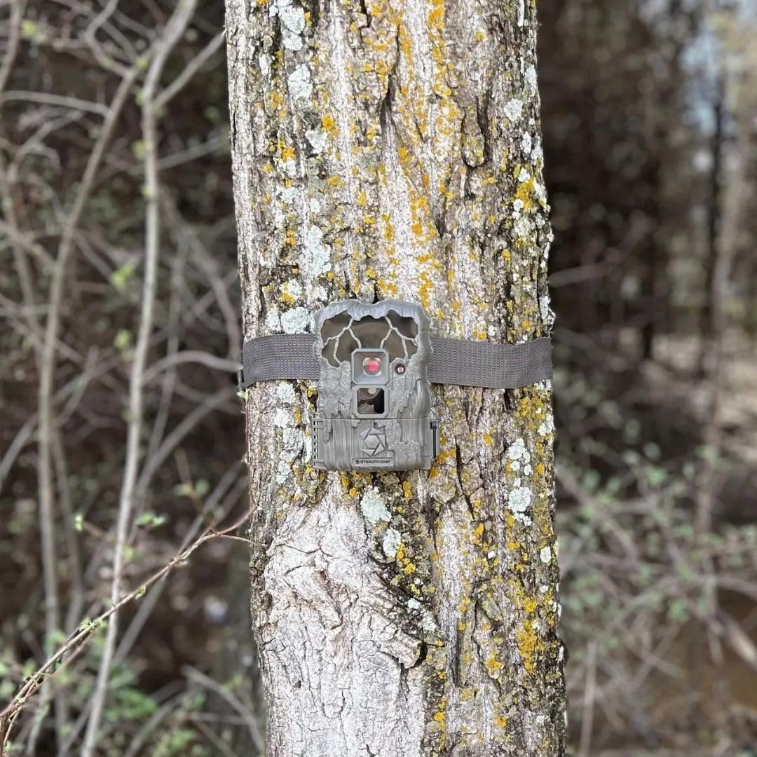 24MP Trail Camera - 2 Pack W3338