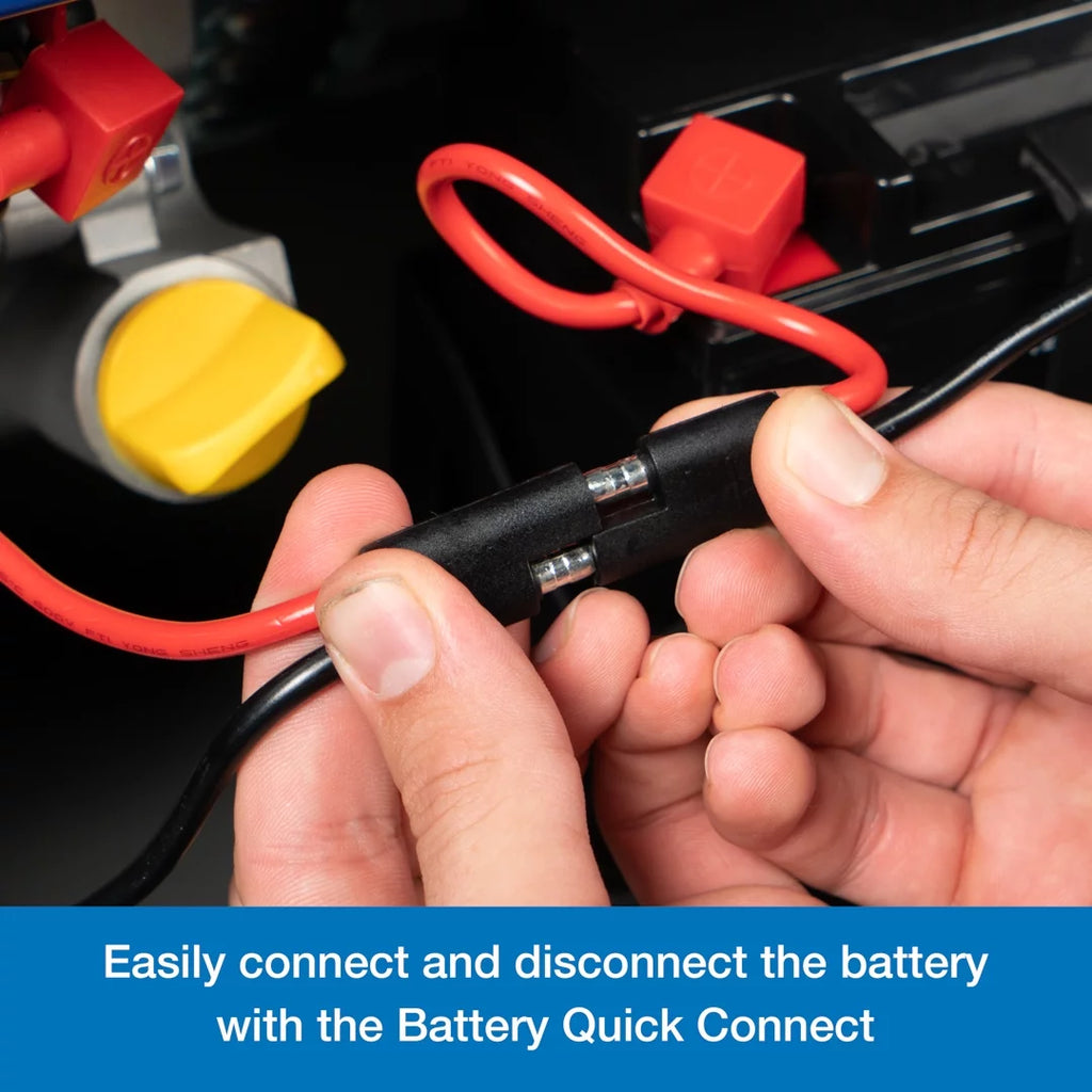 Dual Fuel Portable Generator with Remote Electric Start R13520