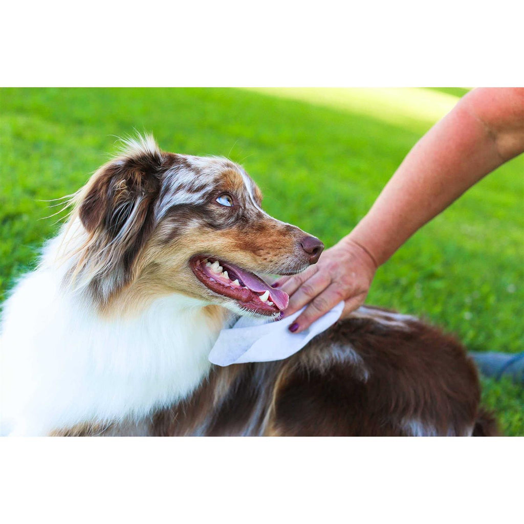 Oatmeal Aloe Grooming Wipes Q2689