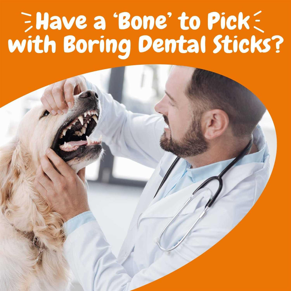 Dental Bones For Dogs Y313
