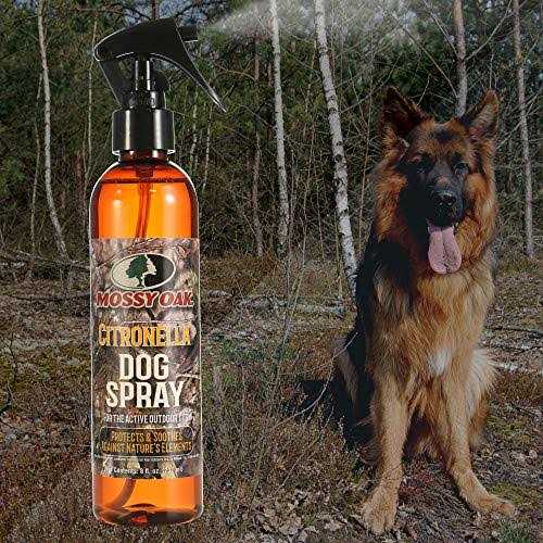 Citronella Dog Spray P341