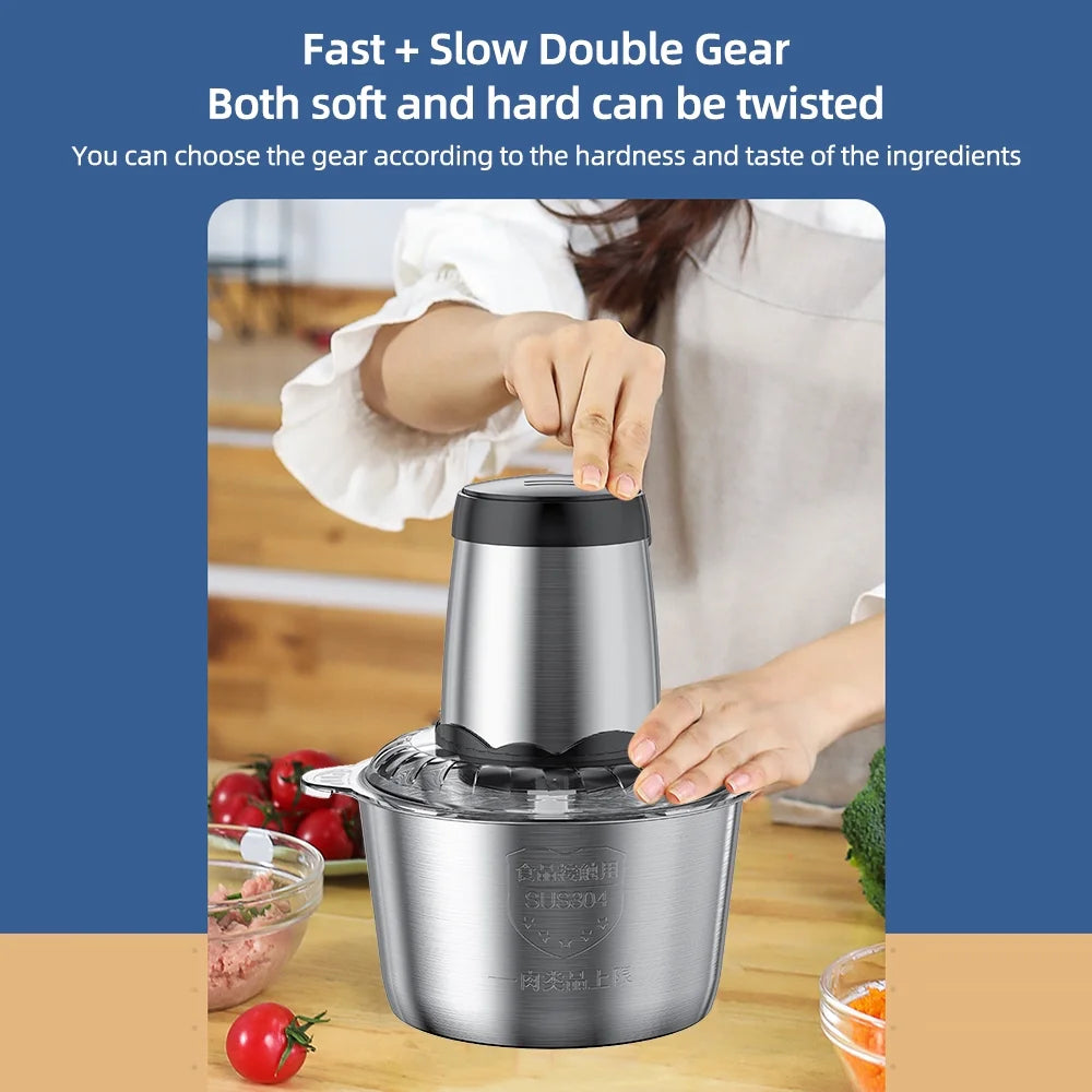 High Power Electric Meat Grinder, 2 Speed Stainless Steel Blender, 3L Capacity Q3626