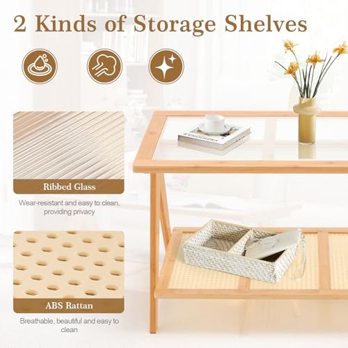 2-Tier Rattan Glass Coffee Table with Storage Shelf L547