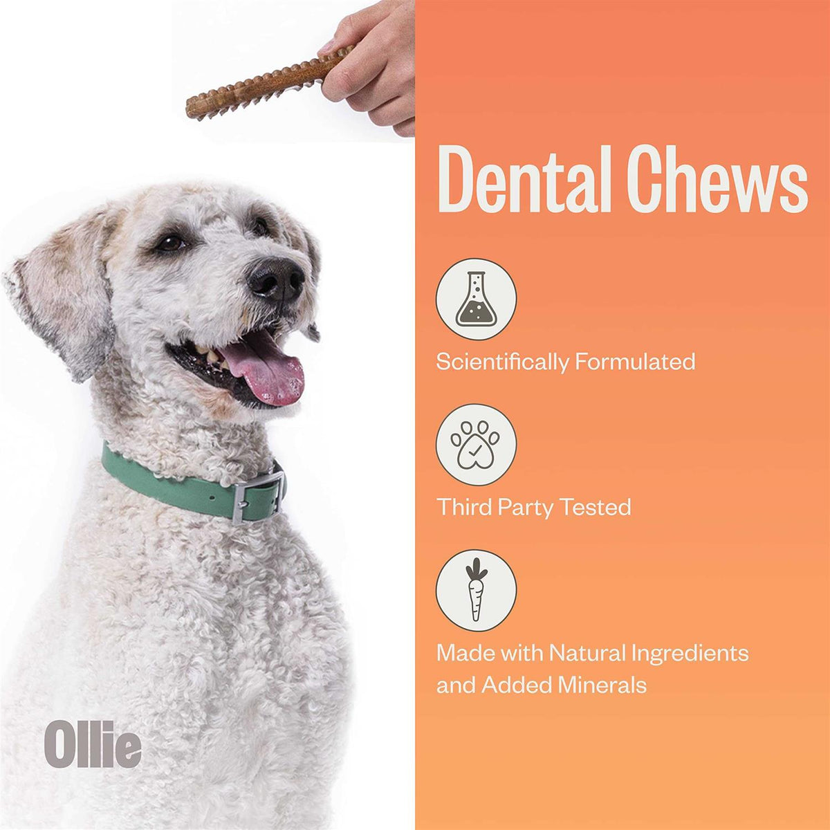 Dental Chews For Dogs H832173