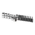 1/4 in. 3/8 in. Drive Star Bit Socket Set, 17 Piece Z349981