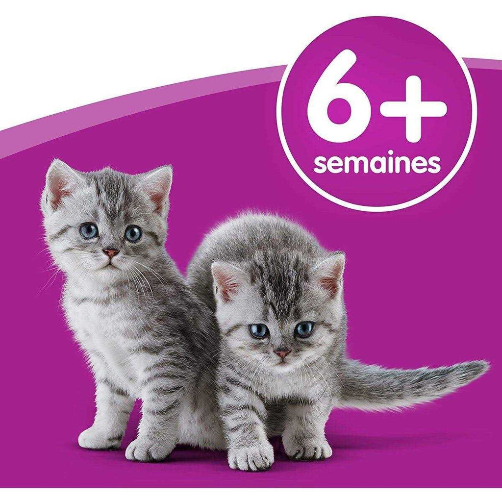 Cat Milk R78400