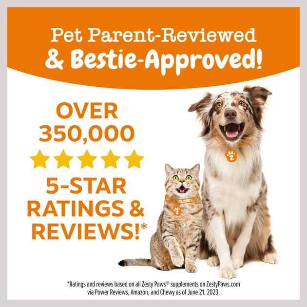 Dental Bones For Dogs Y313