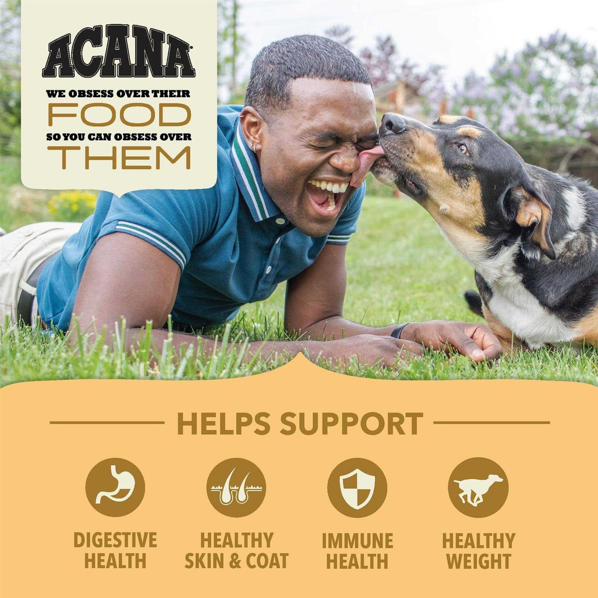 Wholesome Grains Dry Dog Food Z696500