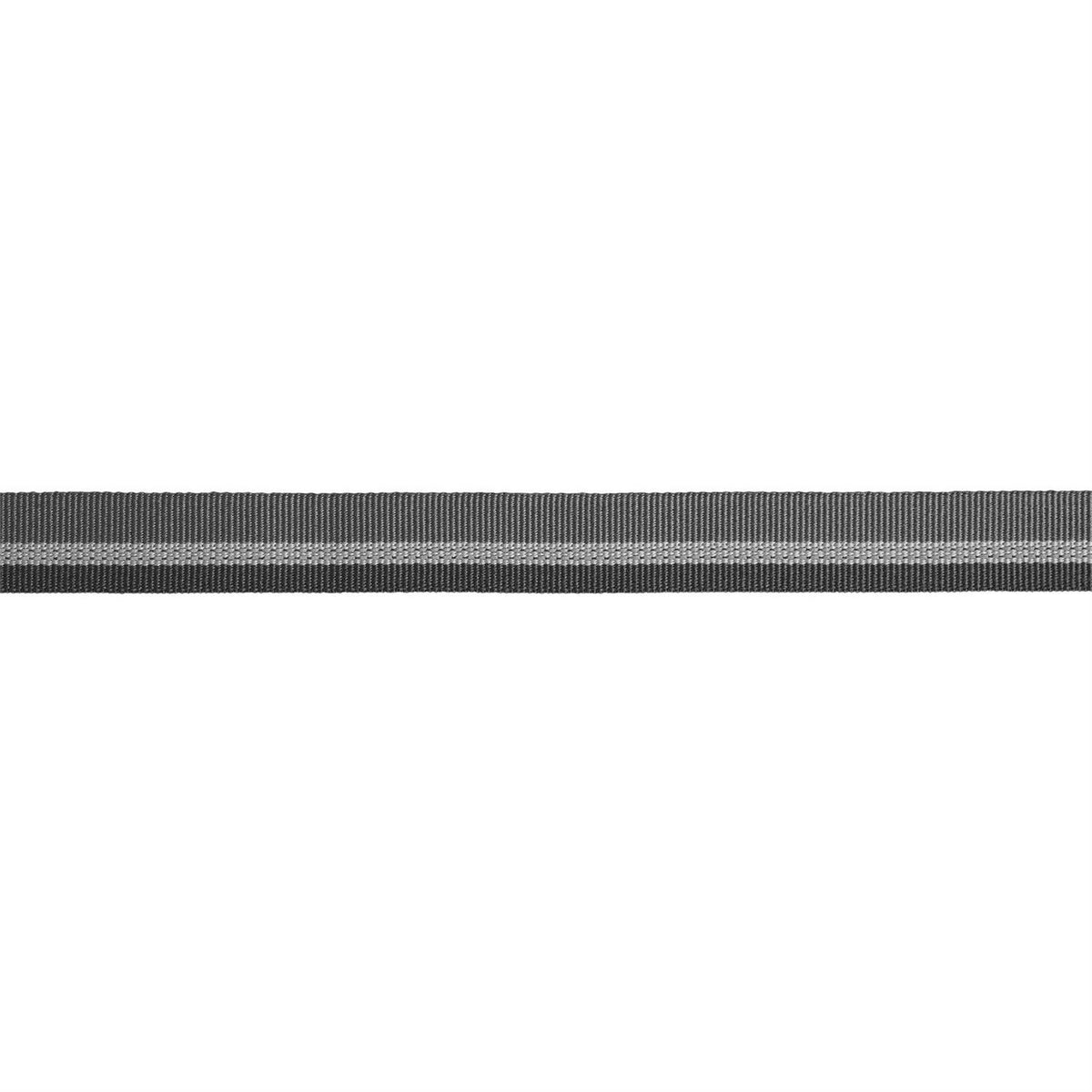 Dog Collar V98558