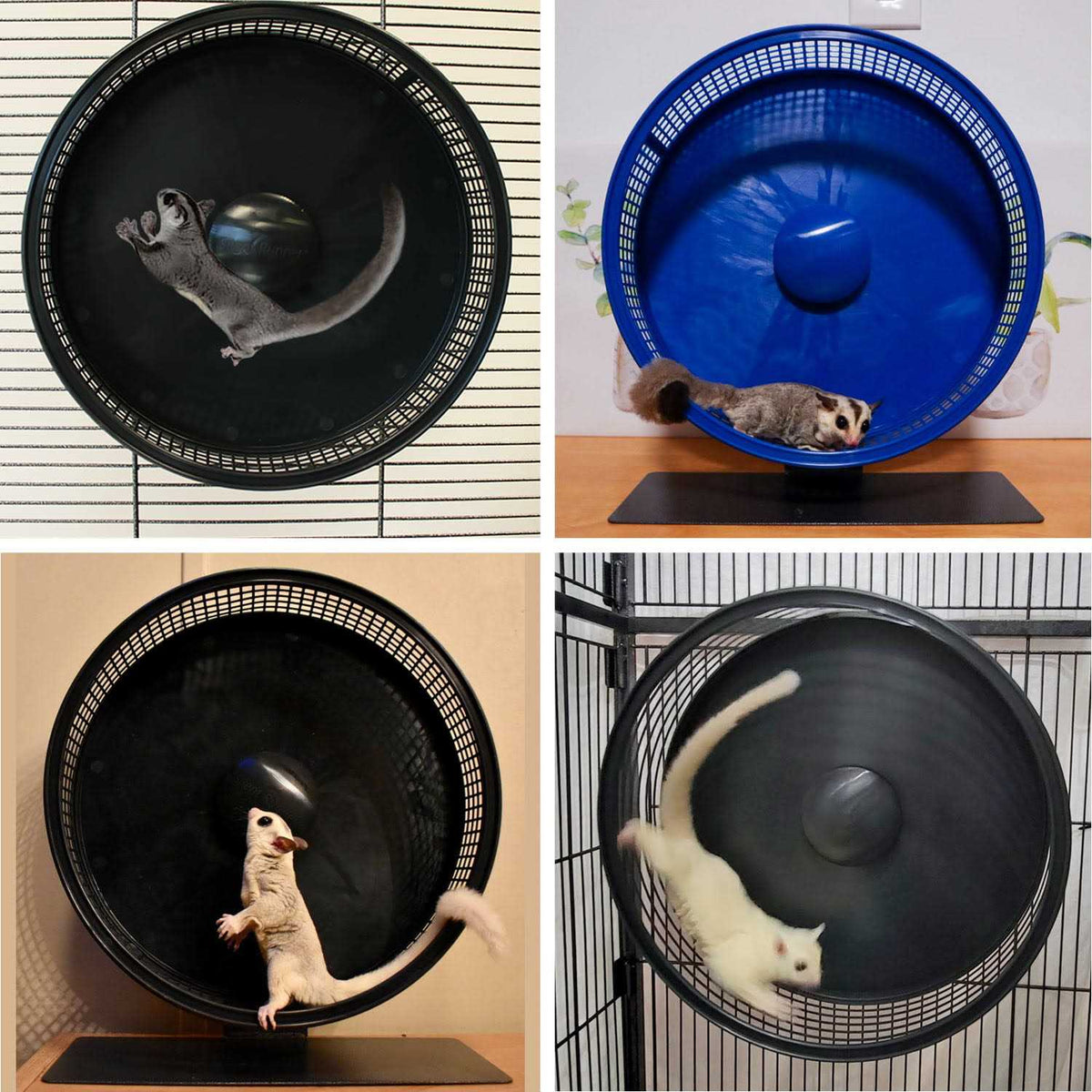 Silent Runner Pro Pet Supplies R64155