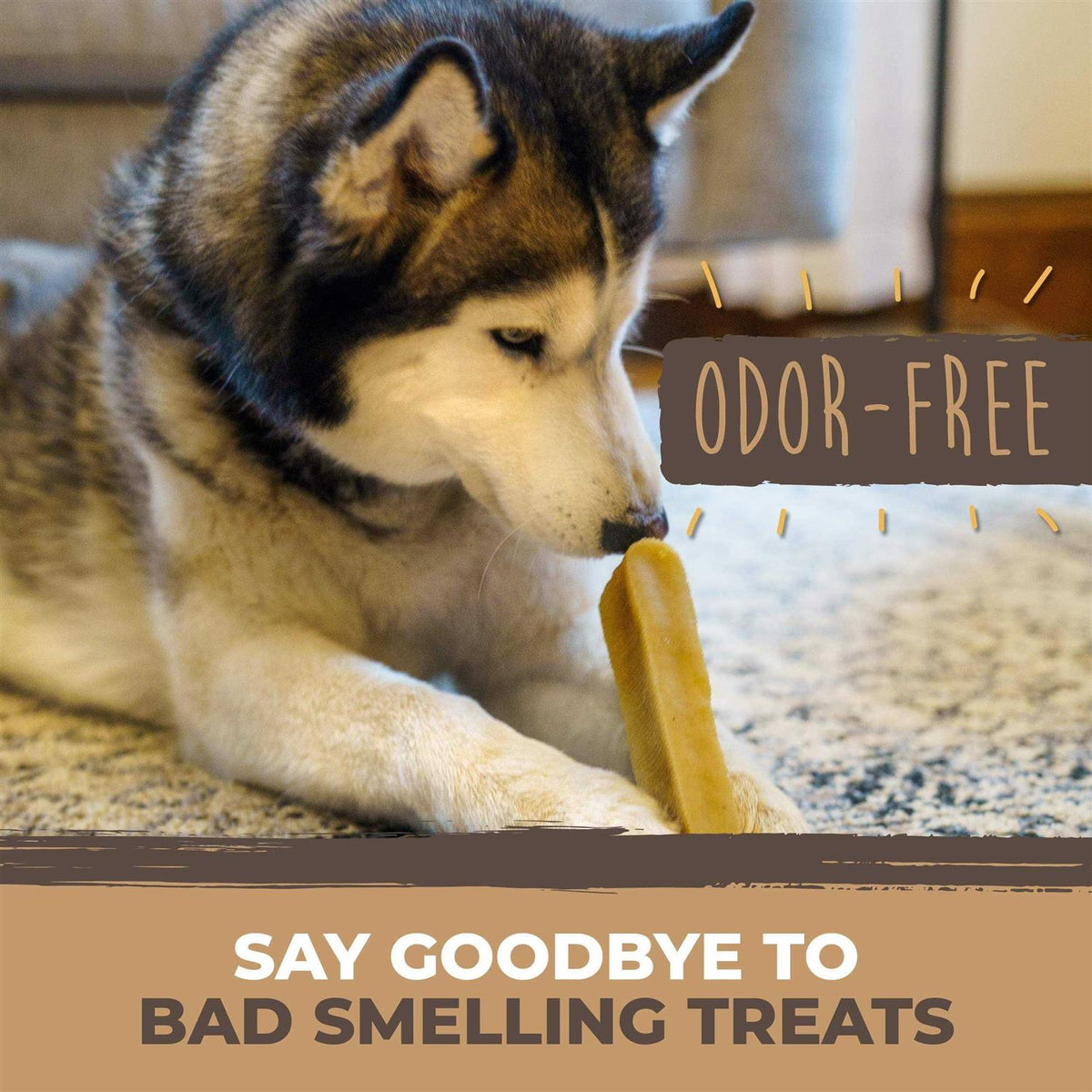Yak Cheese Chews for Dogs X40497
