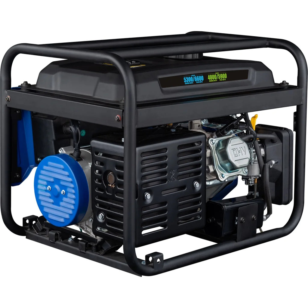Dual Fuel Portable Generator with Remote Electric Start R13520