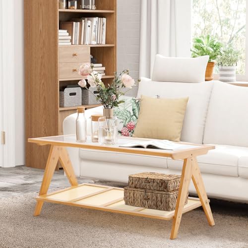 2-Tier Rattan Glass Coffee Table with Storage Shelf L547