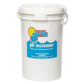 45 Pounds Granular Sodium Carbonate pH Increaser P30400