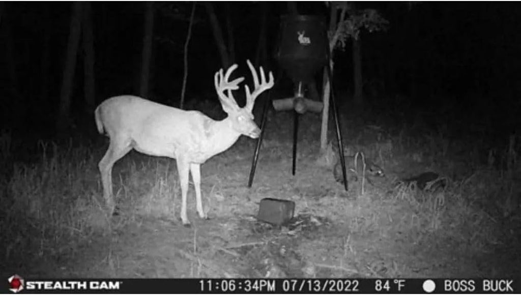 24MP Trail Camera - 2 Pack W3338