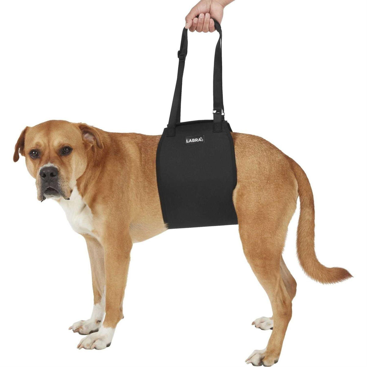 Veterinarian Approved Dog Sling Lift Adjustable Support Harness O771