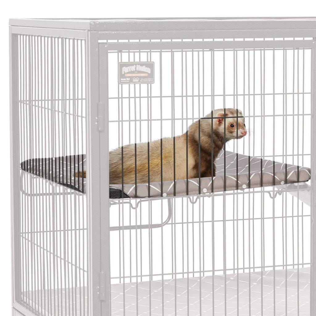 Ferret Nation & Critter Nation Accessories Kit F989760