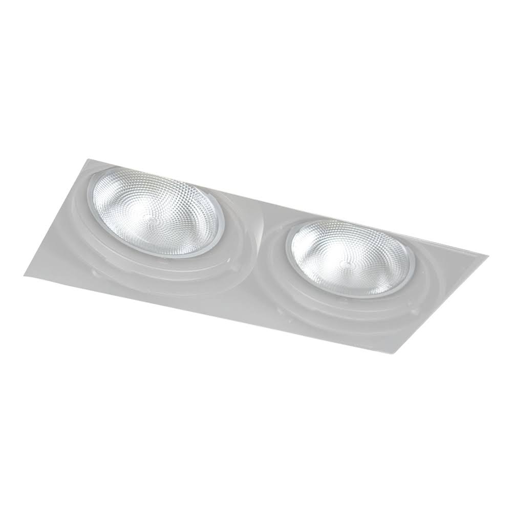 2-Light Trimless Recessed PAR30 White Finish Y206