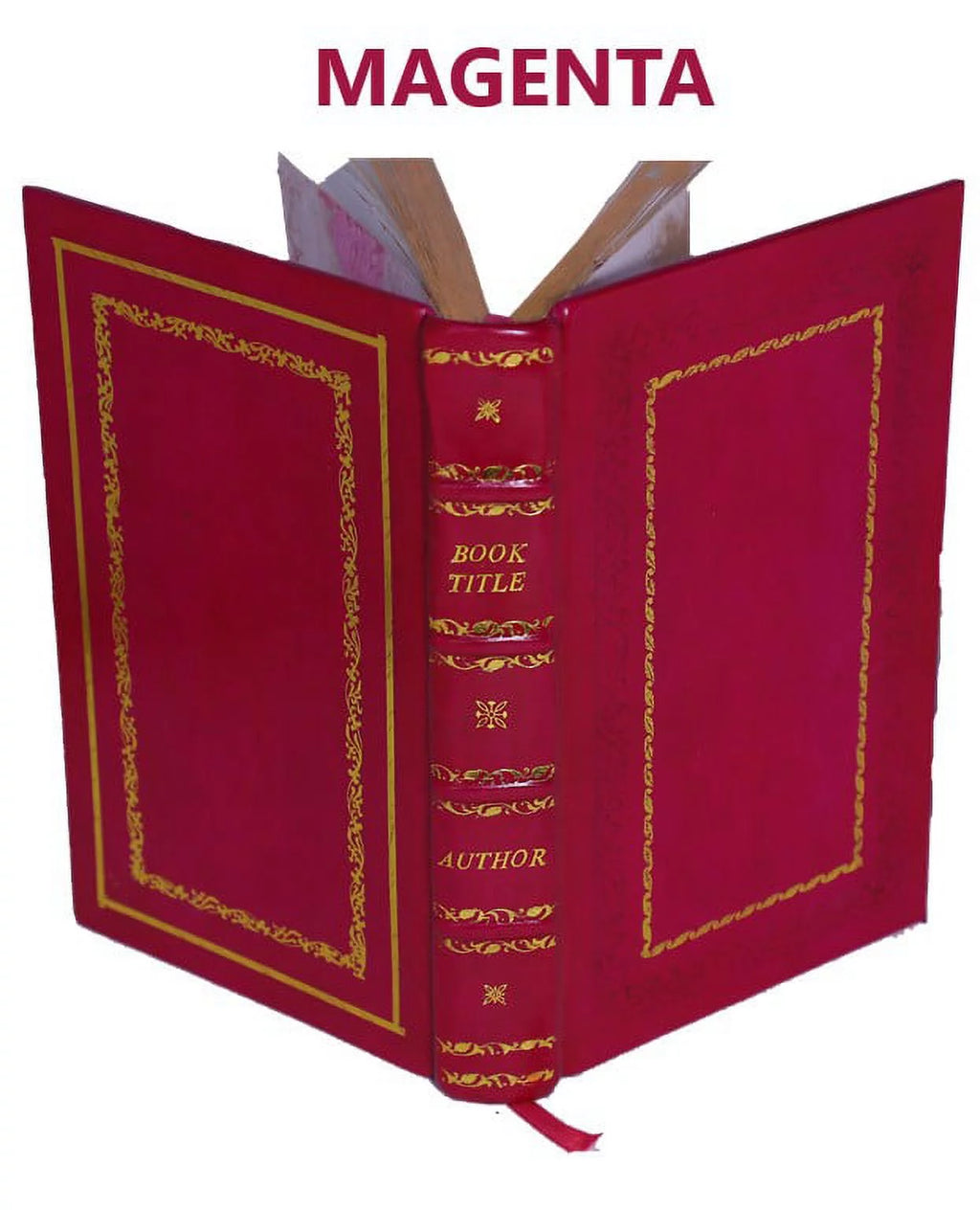 Village Homesteads and Families of Troutbeck by Windermere Leather Bound F512641