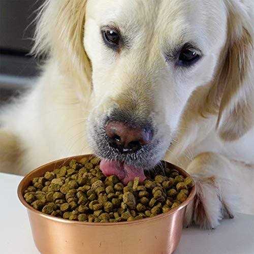 Pasture Raised Lamb Ancient Grains Dry Dog Food E1424
