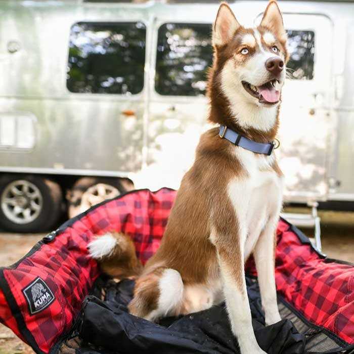 Dog Bed M58216