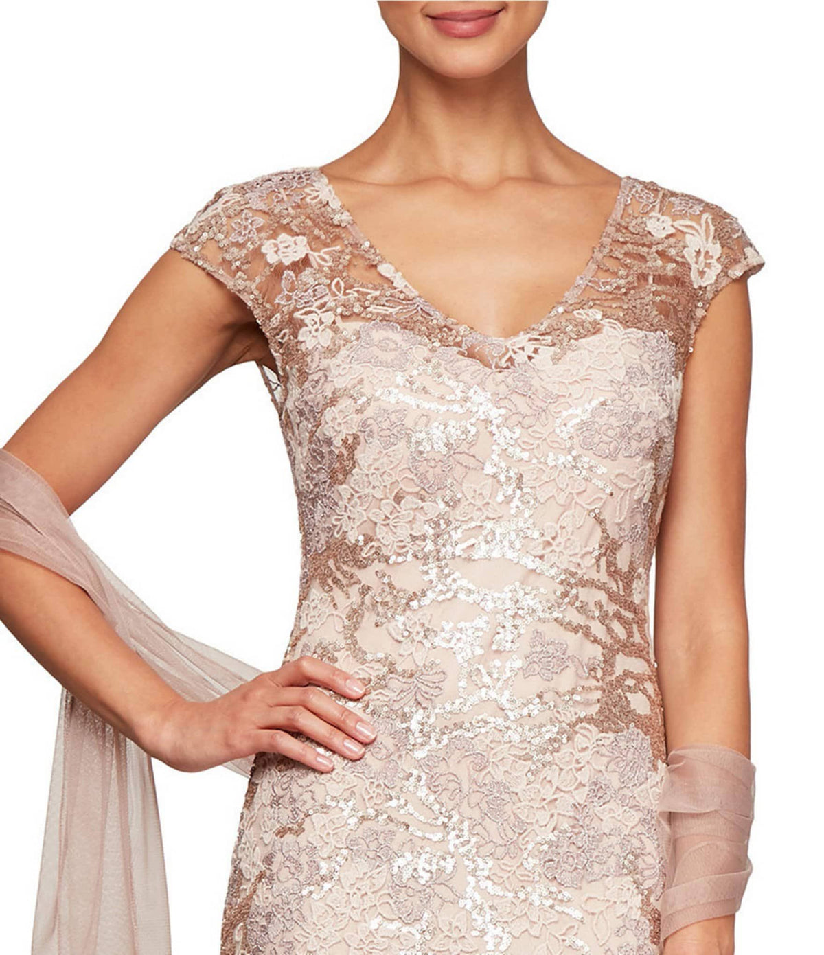 Illusion V-Neck Embroidered Lace Gown U674