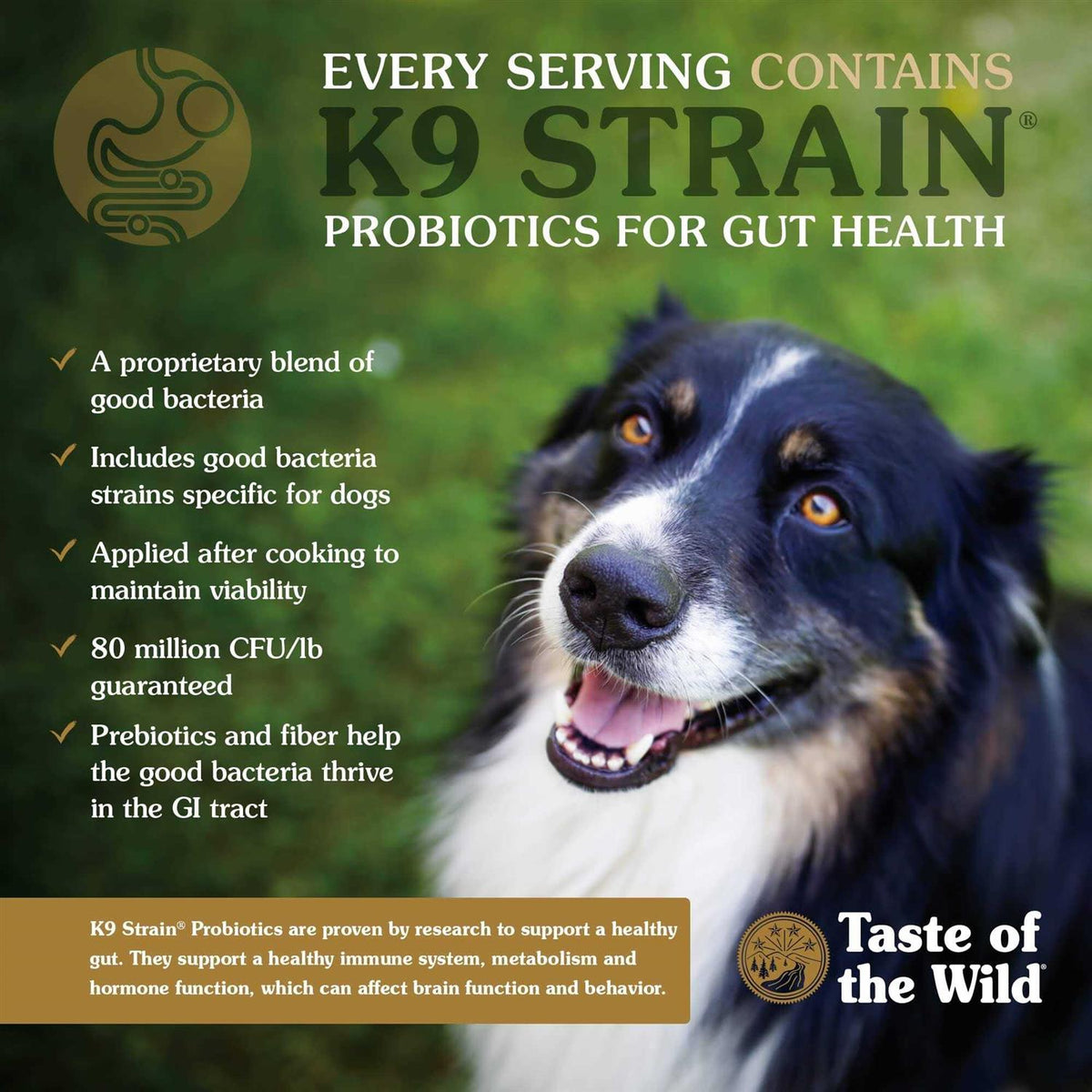 Pacific Stream Dog Food Y182