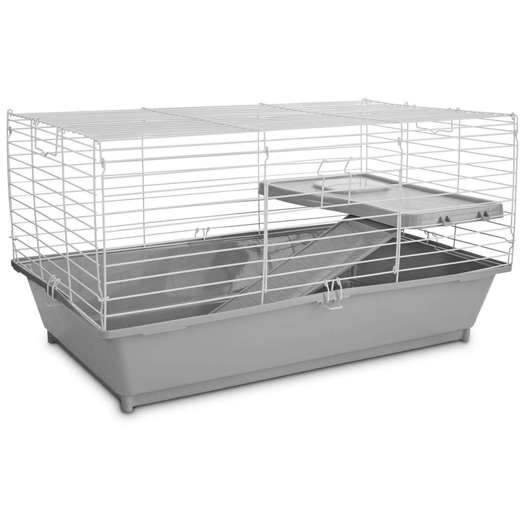 Guinea Pig Starter Kit O284467