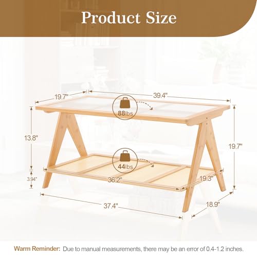 2-Tier Rattan Glass Coffee Table with Storage Shelf L547