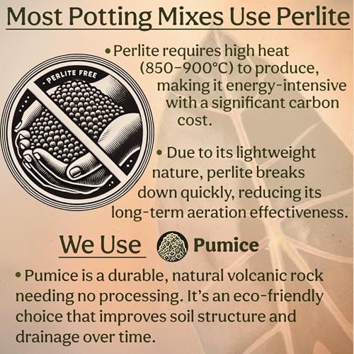 Chunky Well Draining Potting Mix 8QT U23994