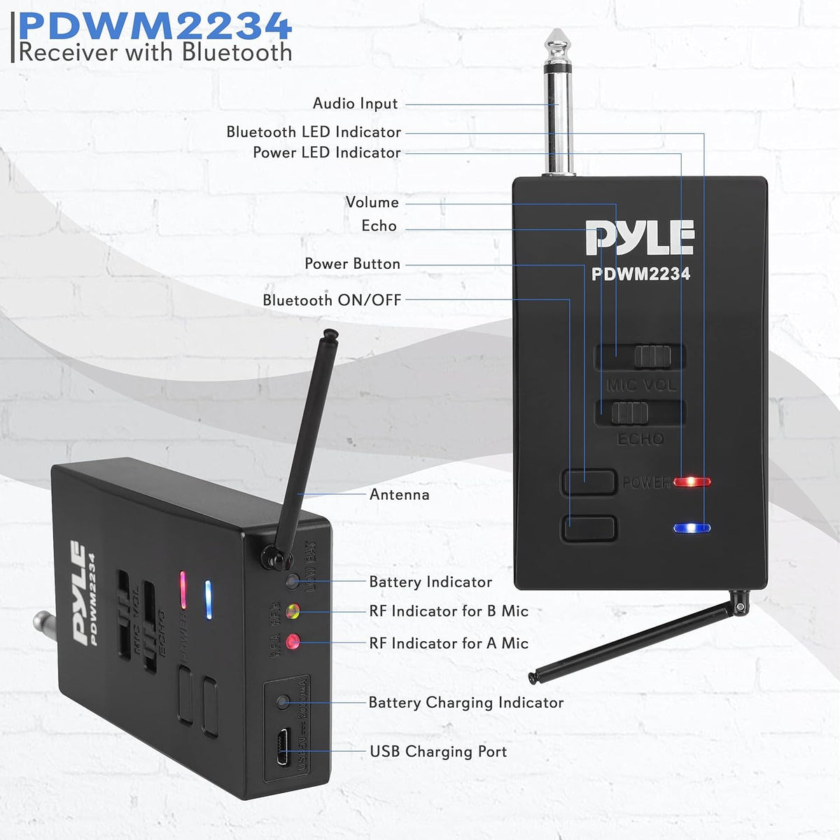 Portable Dual Wireless Microphone System with 2 Handheld Transmitter and 1 Receiver C9542