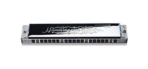 21 Hole Double Sound Harmonica A823